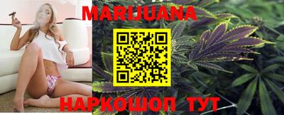 спиды Аргун