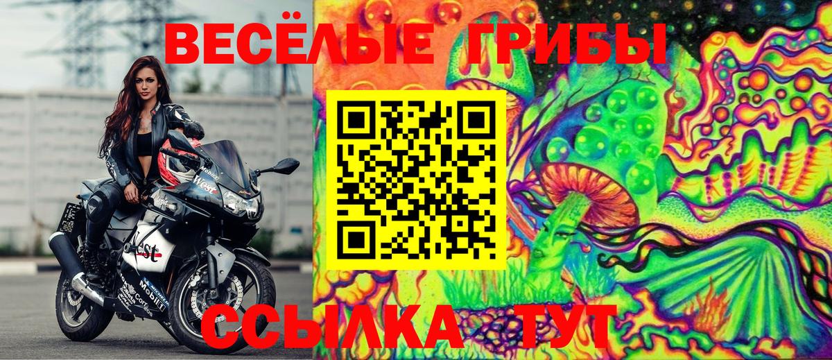 Псилоцибиновые грибы мицелий  где купить   Артёмовский  Вход с VPN 